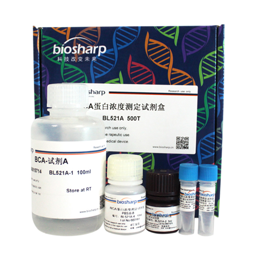 BCA蛋白浓度测定试剂盒 biosharp实验室专用